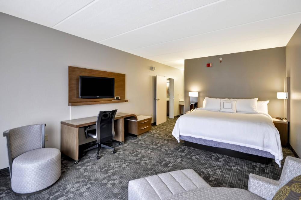 One-Bedroom King Suite with Sofa Bed interior